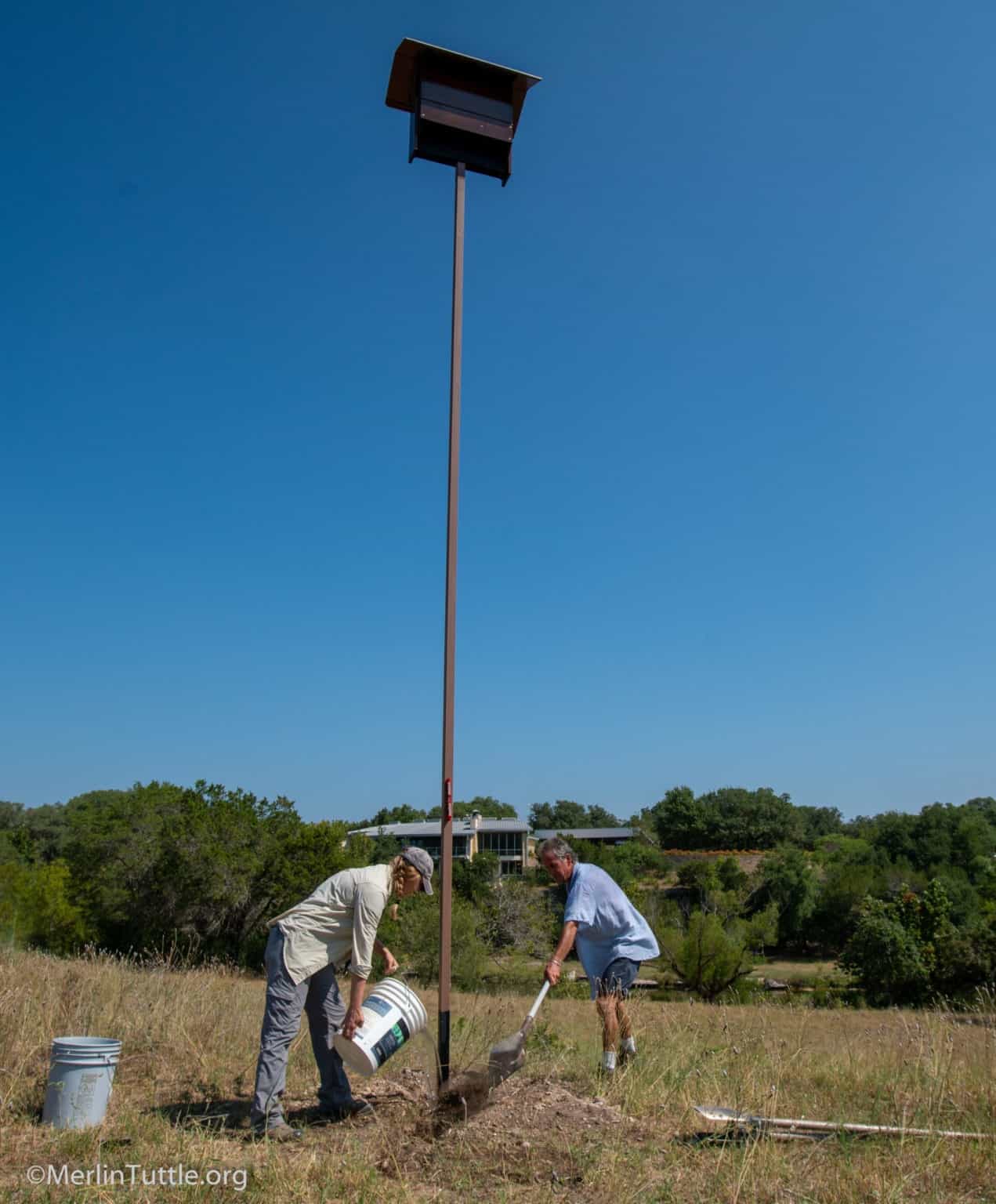 Improving Bat Houses In America Nearly 40 Years Of Progress And Still   US 4 DSC02289 Edit Scaled 1271x1536 